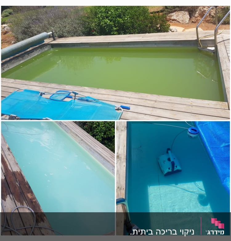 בריכה עם מים ירוקים, מכשיר ניקוי רובוטי